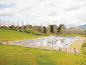 Effluent storage ponds must be fenced.