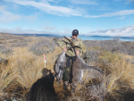 Poisoned wallabies from the Mackenzie Country.