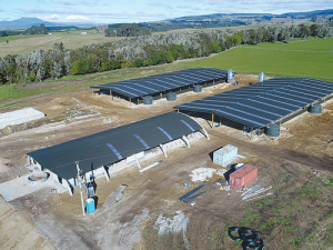 Super Organic Dairy Farm taking shape near Lake Taupo.