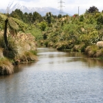 New riparian tax breaks 