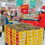 Kiwifruit back to pre-Psa levels
