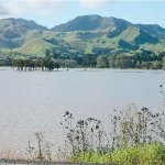 Farmer flags environment angle in Northland floods