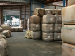 Weaker dollar helps wool prices