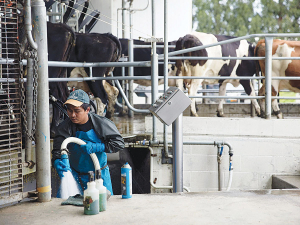 DairyNZ says the Government’s decision to allow 300 more international dairy farm workers into New Zealand doesn’t do enough to help resolve the sector’s significant staff shortage.