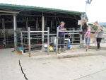 The Galletly family with their damaged rotary dairy shed. 