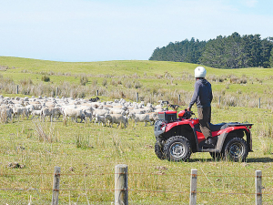 Our hard-working farmers are finally getting some well-deserved reward for their efforts.