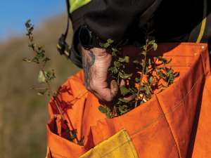 Clos Henri planting day. Photo Credit: Lara Campbell