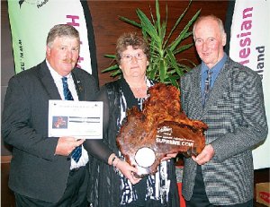 Holstein Friesian cow of the year