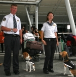 New dog teams at Christchurch 