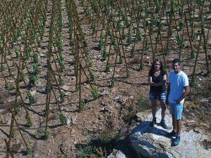 Still hard for the Botts to believe, they own these vineayrds in France.