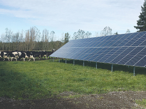 Solagri plans to construct solar arrays and batteries on Kiwi dairy farms.