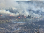 A recent burn-off at Tinopai Peninsula in Northland, which got out of control, cost between $20,000 to $50,0000 to get under control.