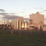Tatua trumps Fonterra 