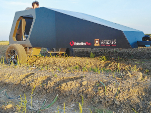 The automated asparagus harvester in action.
