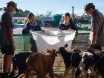 Courses for students also focus on livestock production, soil and plant science and sustainability.
