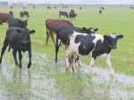 Science-based tools are helping farmers tackle wet weather.