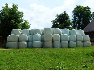 Quality silage is made from quality pasture.
