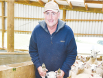 Waimate farmer Tim Mehrtens says he has been pleasantly surprised at the Wiltshire's mothering ability and pre-weaning growth rates.