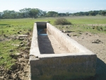 MPI inspectors found an empty water trough and dead cattle.