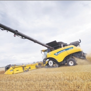 A world-record 797.656 tonnes of wheat in eight hours.