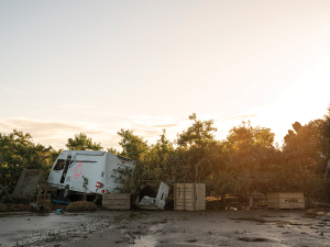 In the wake of Cyclone Gabrielle. Photo Credit: Richard Brimer