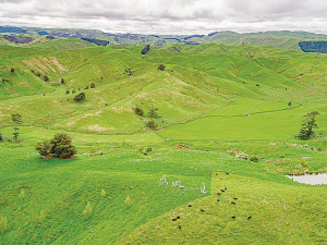 The decisions farmers make today to reduce excess nutrients will be reflected in water quality improvements in our river within five years, on average, finds new research from Our Land and Water.