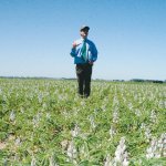 Lupins and more on PGW agronomy tour