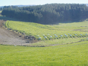 DairyNZ says it will complete a submission on both winter grazing and the freshwater farm plan consultations.