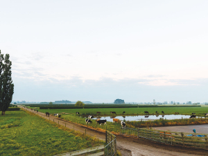 CODC Sludge-to-Lauder Plan Slammed by Federated Farmers