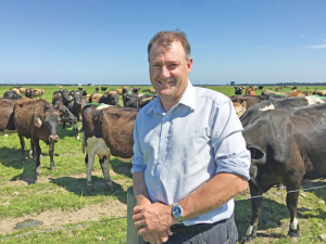 Dairy Holdings chief executive Colin Glass.