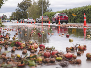 Hawke’s Bay may have to wait up to three months to find out to what degree their trees have survived from the ravages of Cyclone Gabrielle. Photo Credit: RNZ