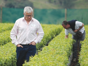 Laurent Audeguin (left) and Professor Jean-Michel Boursiquot inspect a few of the millions of baby vines at Riversun’s Whatatutu field nursery.