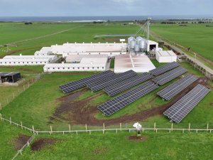 The panels with 200kw capacity have been installed in a paddock at the farm at Oaonui, near Opunake.