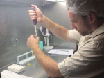 Simon Walton working in the Australian lab. Photo: 7 News