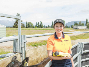 Bella Taylor works as a farm technician, collecting data from the stud breeding and research programmes.