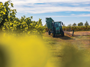 Spy Valley Wines vintage 2026