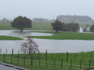 Flooding in the top of the South Island has disrupted Fonterra&#039;s milk collections. Photo Credit: Cherie Chubb