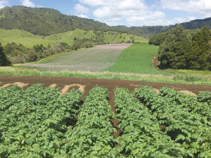 Organics Aotearoa New Zealand have received funding from MPI to develop a new sector strategy.
