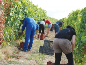 Backpackers working on Australian farms will have to pay more tax.