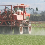 Don’t rush first fungicides