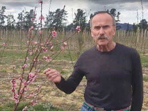 Plant &amp; Food Research Science Group Leader Dr Brent Clothier on the Ngai Tahu Farming trial orchard at Balmoral, near Culverden. Photo: Supplied.