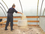 Karapiro farmer Rachel Usmar using ZorbiFresh Active in a calf pen.