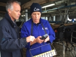 Patsy Booth and Dennis Hommel test CRV Ambreed&#039;s new herd testing device in the shed.