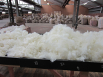 Wool prices were up 16% on last year and are set to enjoy modest rises in the coming years.