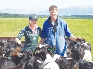 Rebecca Langley and Andrew Furzeland with their calves.