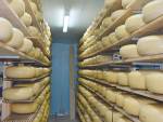 Future use of popular cheese names by NZ cheesemakers could be prohibited.