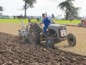 Murray Grainger with his Ferguson TE20 at the Championships.