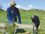 The government is looking at how to get more trees planted as a key part of meeting its Paris agreement obligations.