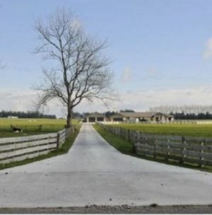 Crafar sale heading to court?