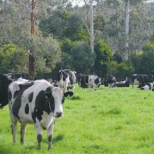 Farmer confidence hits five-year high